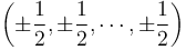 \left(\pm \frac{1}{2}, \pm \frac{1}{2}, \cdots, \pm \frac{1}{2}\right)