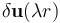 \delta \mathbf{u}(\lambda r)