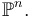 \mathbb{P}^n.