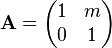 \mathbf{A}=\begin{pmatrix}1 & m\\ 0 & 1\end{pmatrix}