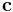 \mathbf{c}