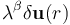 \lambda^{\beta}\delta \mathbf{u}(r)