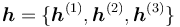 \boldsymbol{h} = \{\boldsymbol{h}^{(1)}, \boldsymbol{h}^{(2)}, \boldsymbol{h}^{(3)} \}