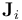 \mathbf{J}_i