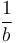 \frac{1}{b}