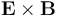 \mathbf{E} \times \mathbf{B}