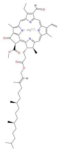 Structure of β-Chlorophyll