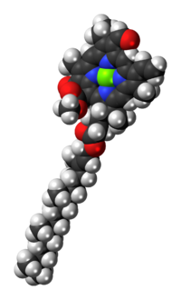 Chlorophyll-b-3D-spacefill.png