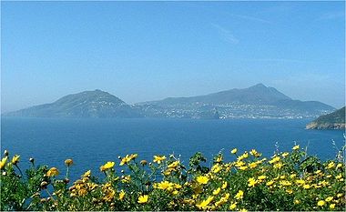 Ischia da procida.jpg