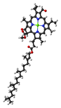 Chlorophyll-b-3D-balls.png