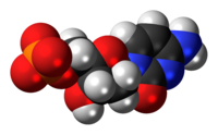 Space-filling model of the deoxycytidine monophosphate molecule as an anion (2- charge)