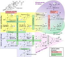 Chemical-diagram flow chart