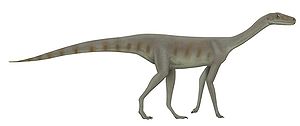 Asilisaurus.jpg