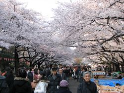 Ueno park.jpg