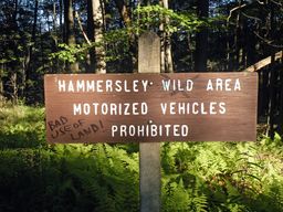 Hammersly Wild Area Opinion.jpg