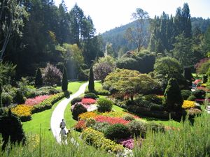 Butchart gardens.JPG