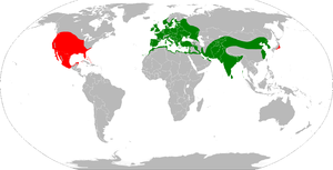 Streptopelia decaocto range map.png