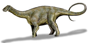 Drawing of Nigersaurus