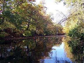 Red Cedar River.jpg