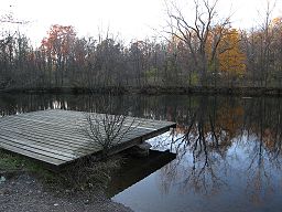 NFEEC the dock.jpg