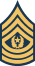 Army-USA-OR-09b.svg