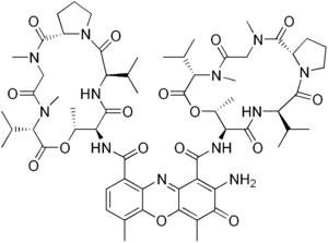 Actinomycin D.png