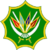 South African National Defence Force emblem