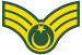 Army-TUR-OR-06a.svg