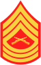 E-8 insignia