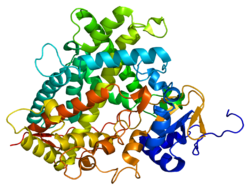 Protein CYP1A2 PDB 2hi4.png