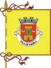 Flag of Mafra