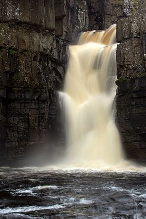 High force.jpg