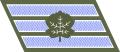 IDF Rank: סמ"ר samar (staff sergeant)