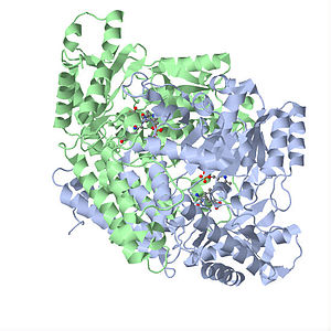 PDB GAD67.jpg