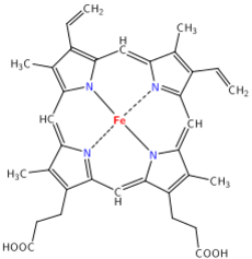 Heme group of hemoglobin