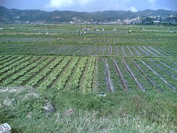 La Trinidad Valley