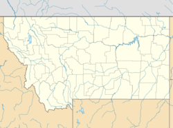 Olney, Montana is located in Montana