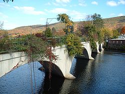 Bridge of Flowers