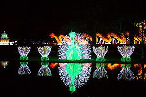 Chinese Lantern Festival getting popular in Western Country