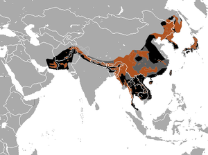 Asian Black Bear area.png