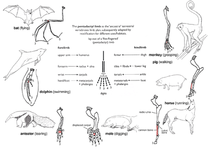 Figure 2e