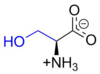 Serine at physiological pH