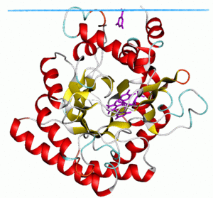 1f76.gif