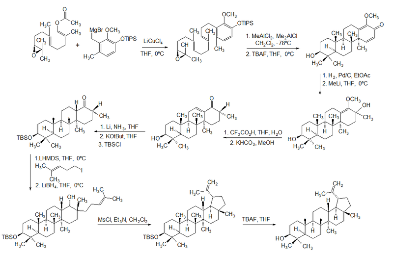 LUPEOL SYNTHESIS.png