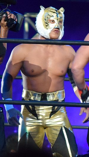 Tiger Mask IV 2015.JPG