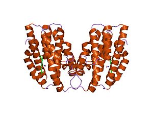 PDB 1twr EBI.jpg