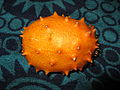 Kiwano.jpg