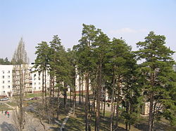 One of Slavutych's residential areas