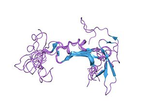 PDB 1hrf EBI.jpg