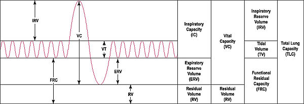 Output of a 'spirometer'